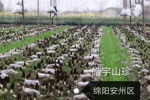 &#74;&#68;&#66;&#40;&#20013;&#22269;&#30005;&#23376;&#41;&#23448;&#26041;&#32593;&#31449;&#95;&#74;&#68;&#66;