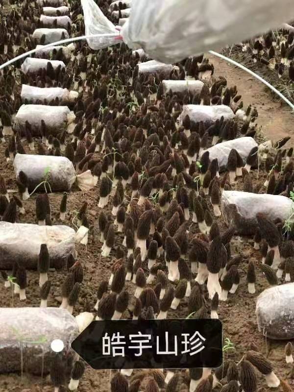 &#74;&#68;&#66;&#40;&#20013;&#22269;&#30005;&#23376;&#41;&#23448;&#26041;&#32593;&#31449;&#95;&#74;&#68;&#66;
