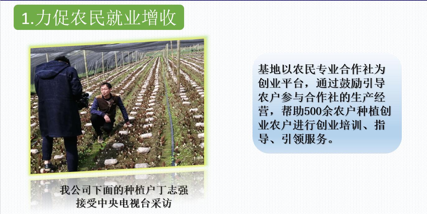 &#74;&#68;&#66;&#40;&#20013;&#22269;&#30005;&#23376;&#41;&#23448;&#26041;&#32593;&#31449;&#95;&#74;&#68;&#66;