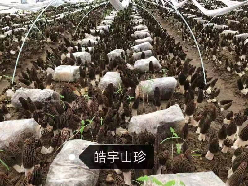 &#74;&#68;&#66;&#40;&#20013;&#22269;&#30005;&#23376;&#41;&#23448;&#26041;&#32593;&#31449;&#95;&#74;&#68;&#66;