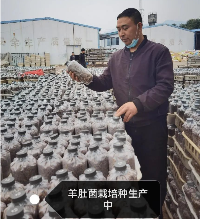 &#74;&#68;&#66;&#40;&#20013;&#22269;&#30005;&#23376;&#41;&#23448;&#26041;&#32593;&#31449;&#95;&#74;&#68;&#66;